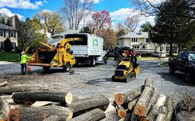 Best Sod Installation  in Atco, NJ