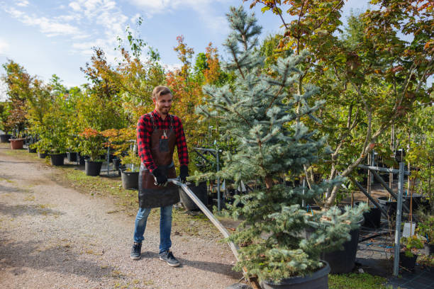 Best Pest Control for Lawns  in Atco, NJ